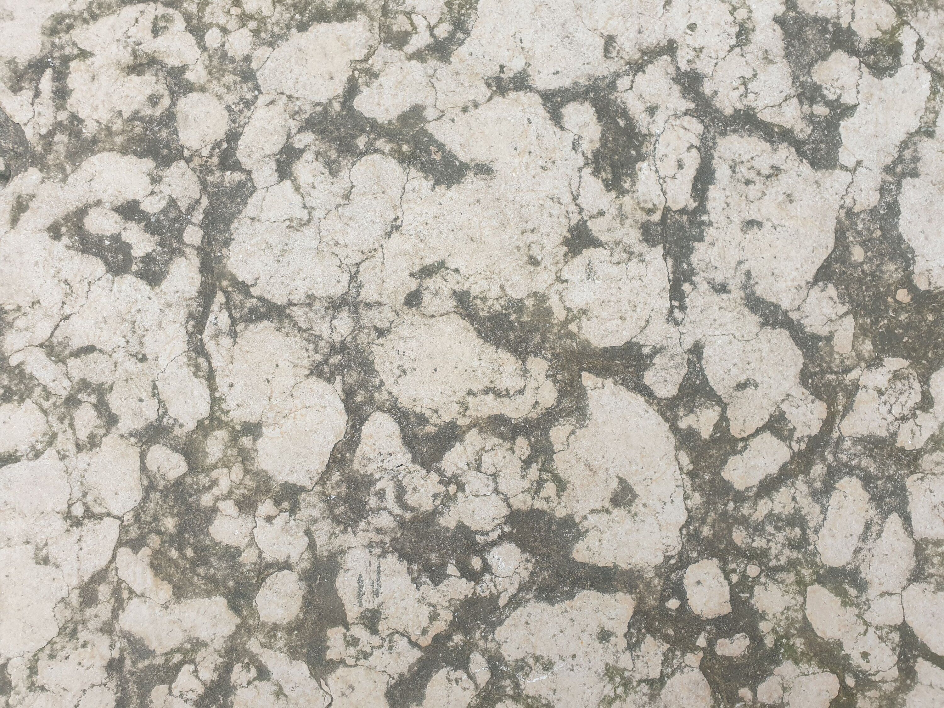 Textura mineral de piedra caliza en tonos crema y gris